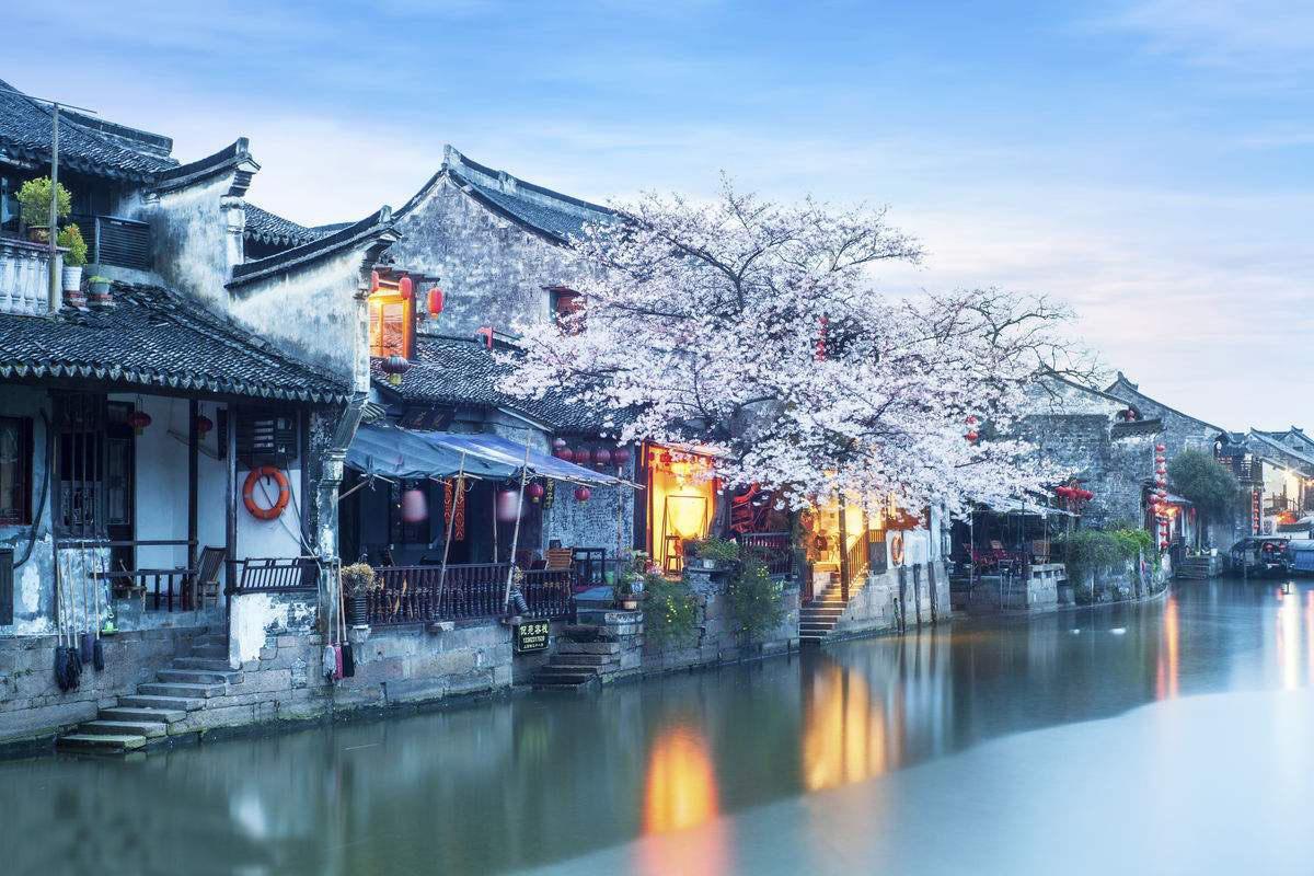 常山双柚产业扩产能拓市场